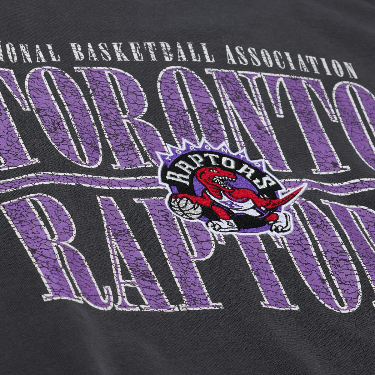 NBA Toronto Raptors NBA Downtown Collection Fleece Sweatshirt