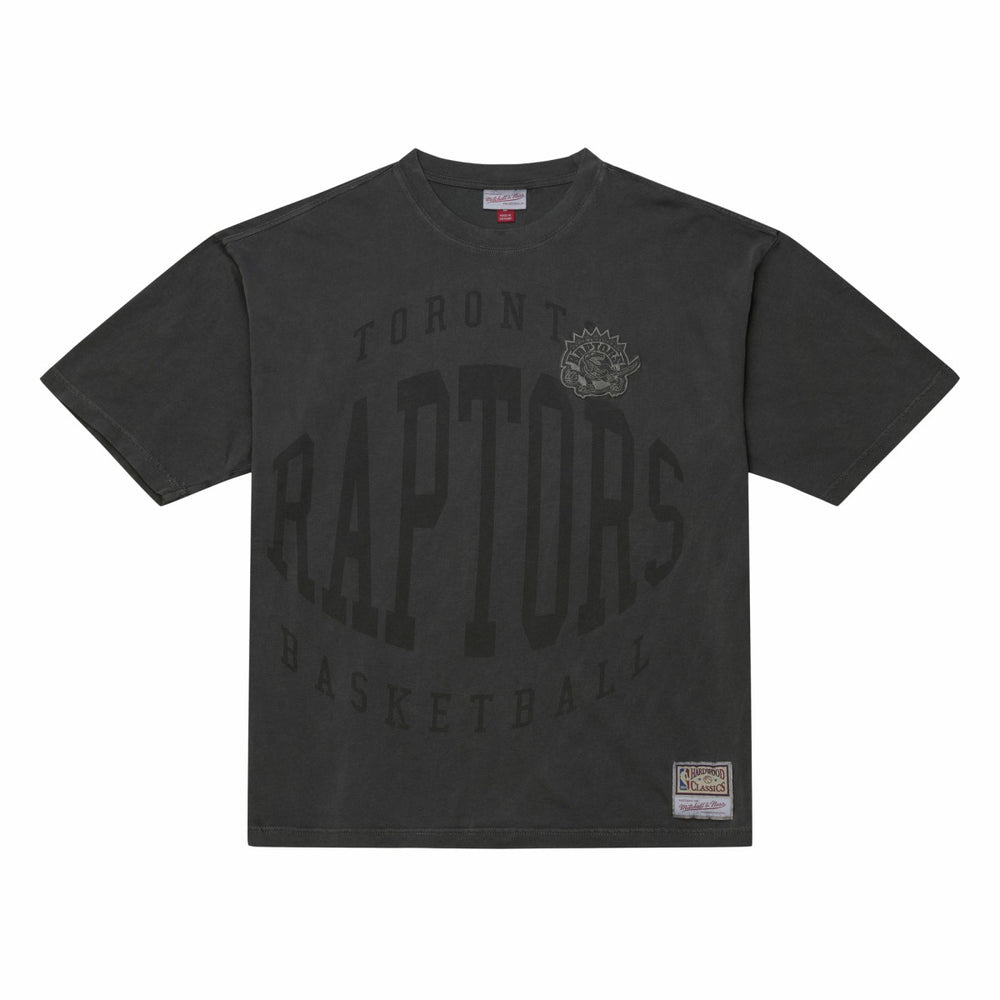 NBA Toronto Raptors Downtown Collection Premium T-Shirt