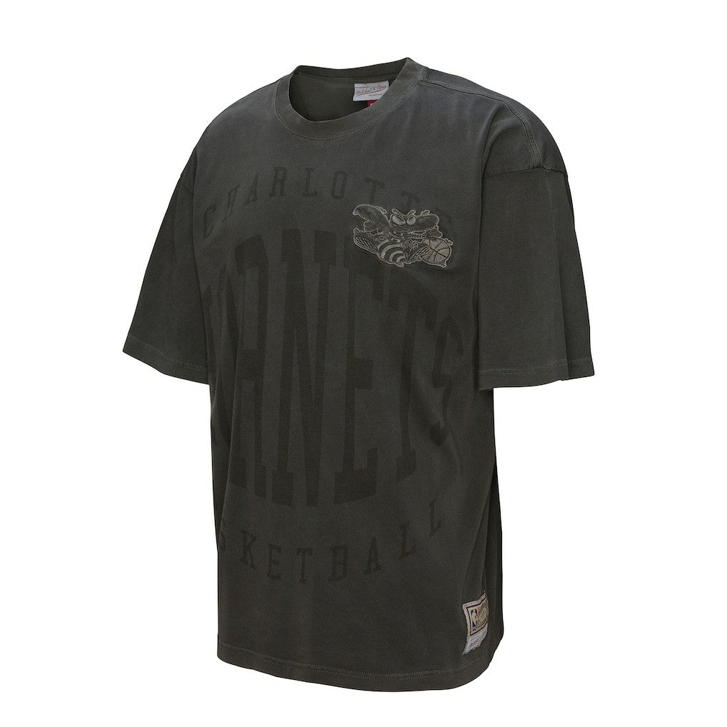 NBA Charlotte Hornets Downtown Collection Premium T-Shirt