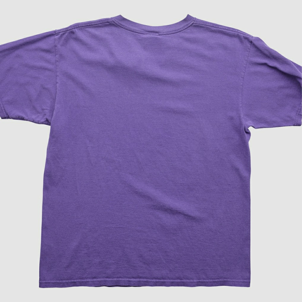 NFL 2000s T-Shirt - Minnesota Vikings