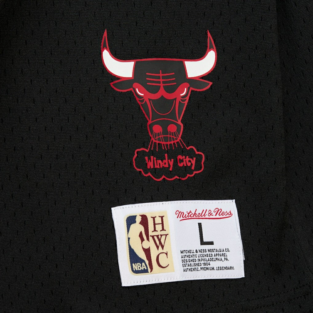 NBA Dennis Rodman Chicago Bulls Mesh Name & Number Short Sleeve Hoodie sale