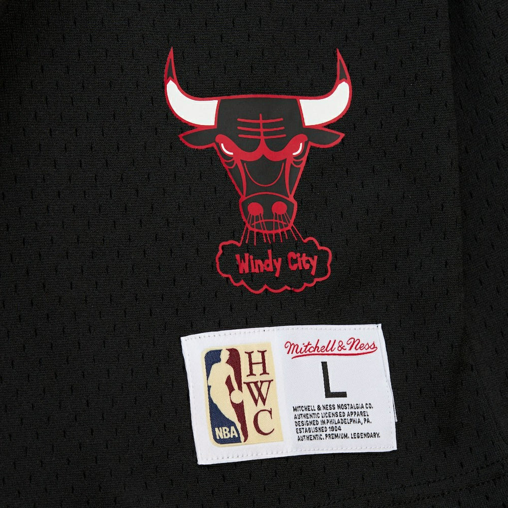 NBA Dennis Rodman Chicago Bulls Mesh Name & Number Short Sleeve Hoodie sale