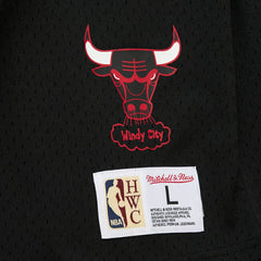 NBA Dennis Rodman Chicago Bulls Mesh Name & Number Short Sleeve Hoodie sale