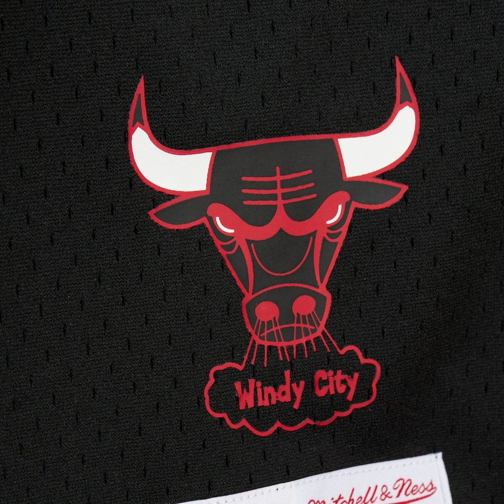 NBA Dennis Rodman Chicago Bulls Mesh Name & Number Short Sleeve Hoodie sale