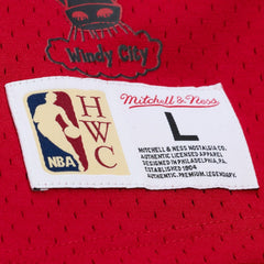 NBA Scottie Pippen Chicago Bulls Mesh Name & Number Short Sleeve Hoodie sale