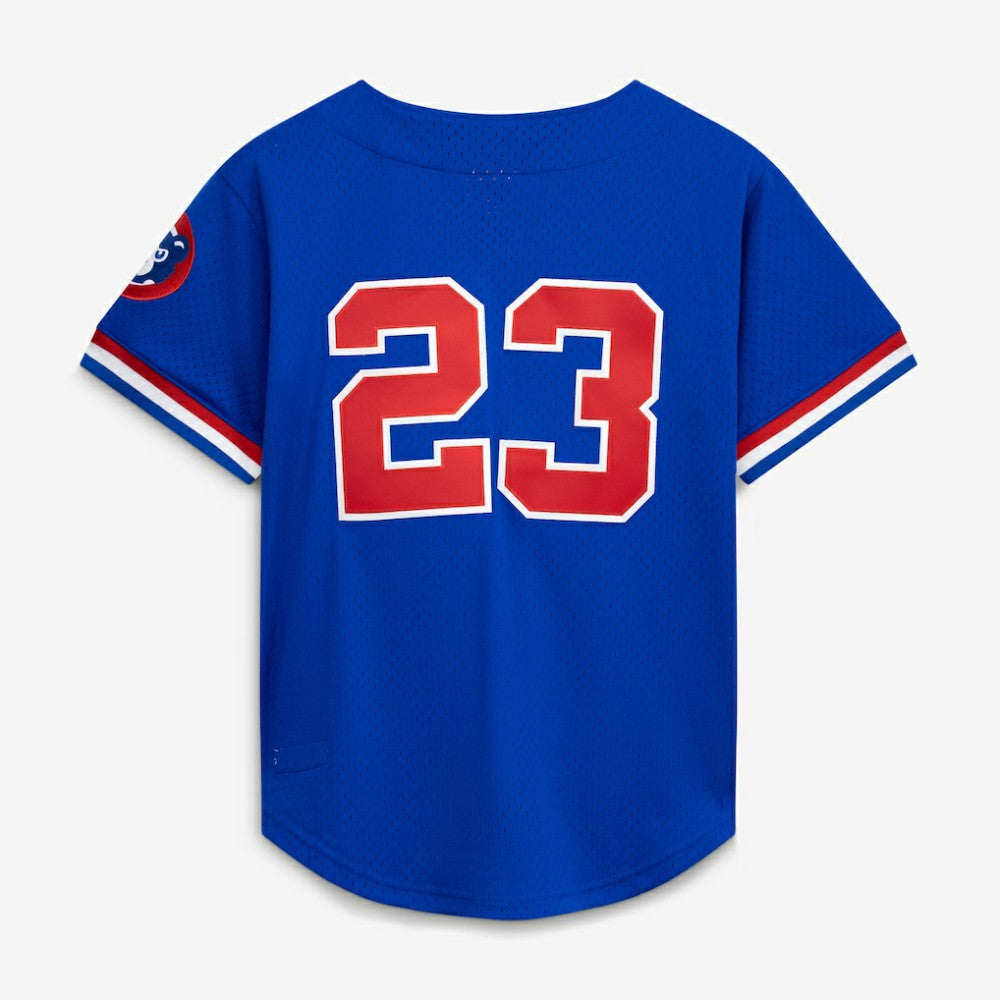MLB Ryne Sandberg Chicago Cubs Mitchell & Ness Cooperstown Collection 1996 Mesh Batting Practice Button-Up Jersey