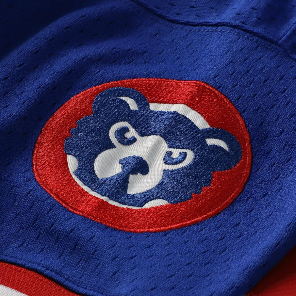 MLB Ryne Sandberg Chicago Cubs Mitchell & Ness Cooperstown Collection 1996 Mesh Batting Practice Button-Up Jersey