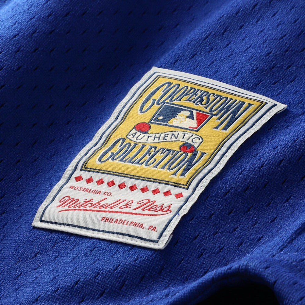 MLB Ryne Sandberg Chicago Cubs Mitchell & Ness Cooperstown Collection 1996 Mesh Batting Practice Button-Up Jersey