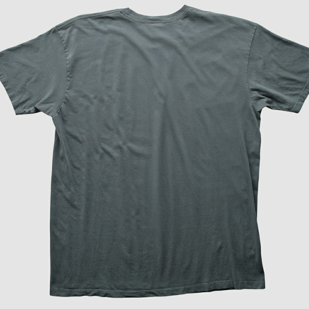 NFL 2010s T-shirt - Pittsburgh Steelers
