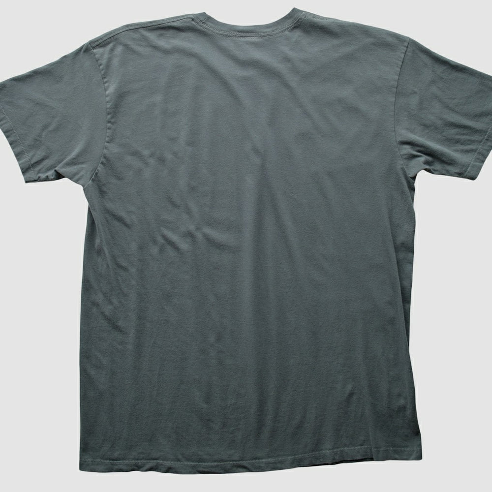 NFL 2010s T-shirt - Pittsburgh Steelers