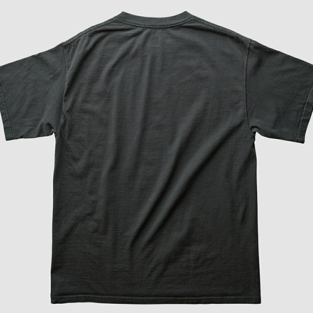 NFL 2000s T-shirt - Pittsburgh Steelers