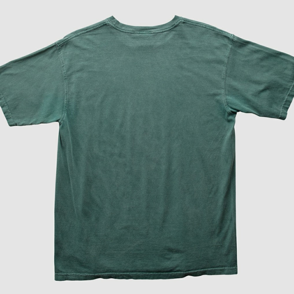 NFL 2010s T-shirt - Green Bay Packers