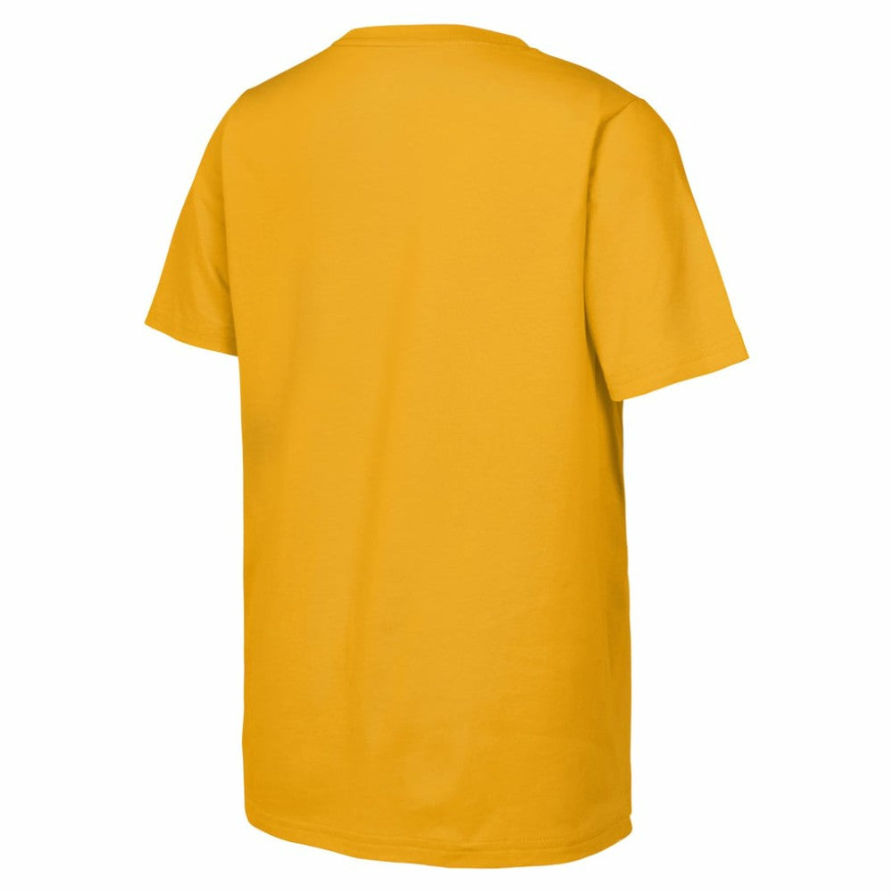 NHL Gold Boston Bruins Fanatics Youth 2026 NHL Stadium Series Authentic Locker Room T-Shirt