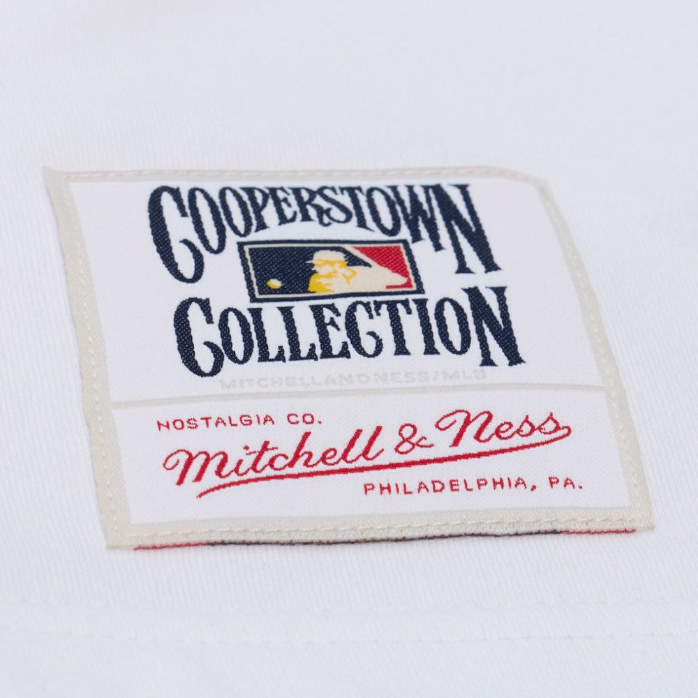 MLB San Francisco Giants Mitchell & Ness Cooperstown Collection Arctic T-Shirt