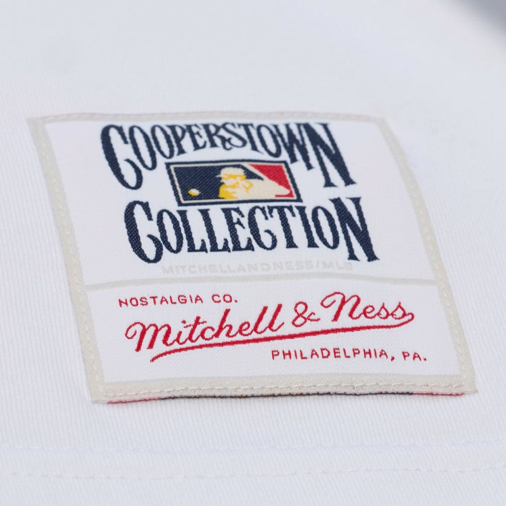 MLB Chicago Cubs Mitchell & Ness Cooperstown Collection Arctic T-Shirt