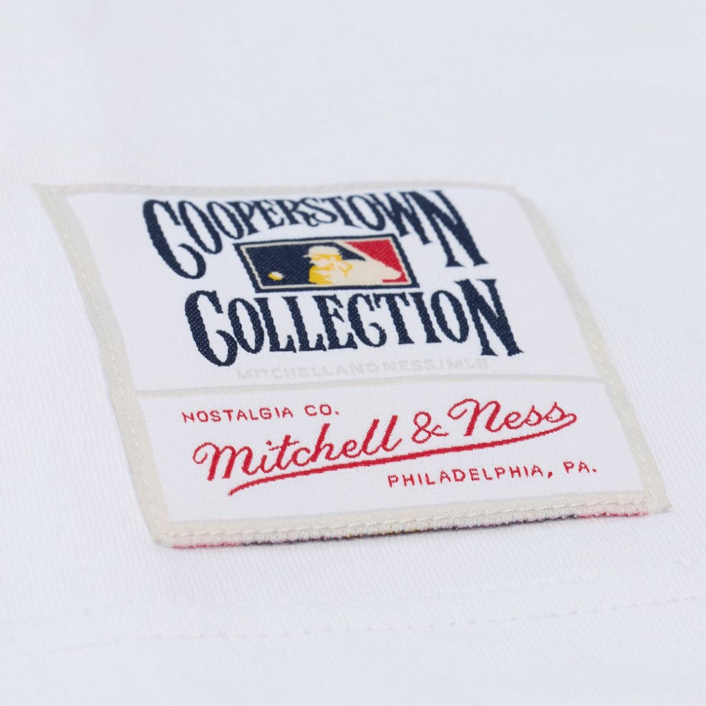 MLB Los Angeles Dodgers Mitchell & Ness Cooperstown Collection Arctic T-Shirt
