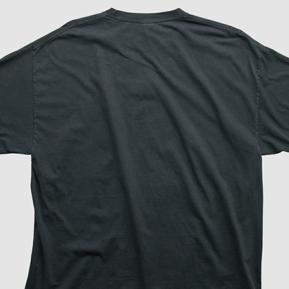 Alstyle 2010 T-shirt - Pittsburgh Steelers