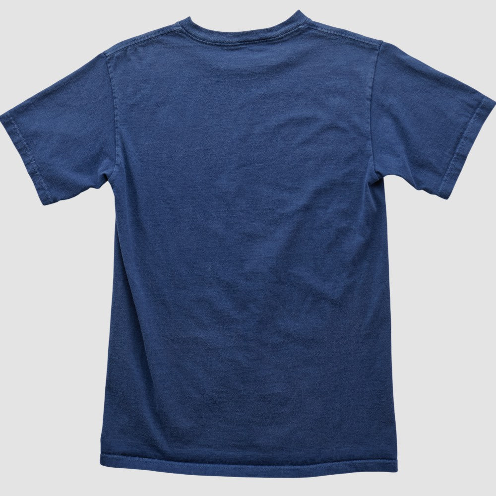 MLB Minnesota Twins Majestic 2010 T-shirt