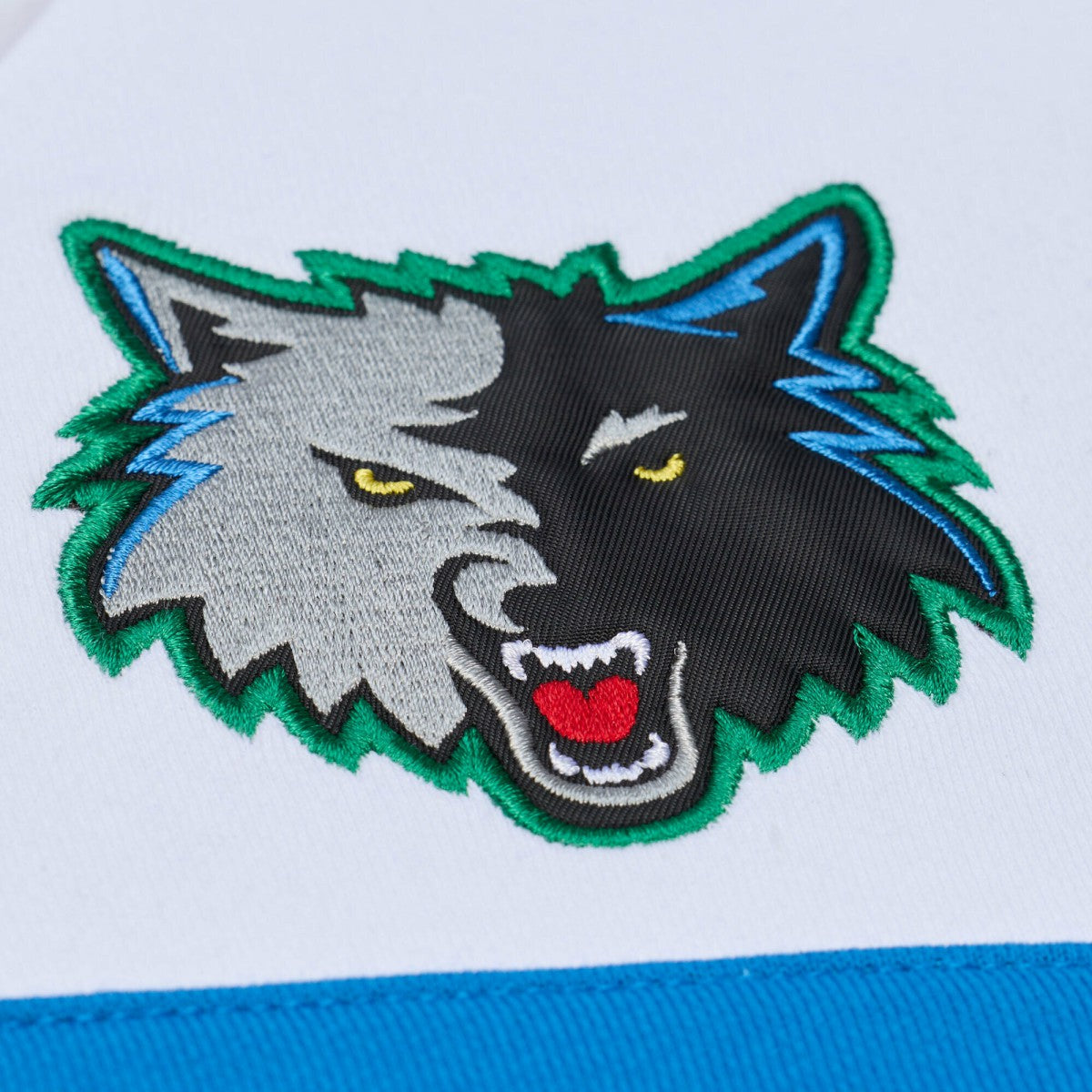 NBA Minnesota Timberwolves Head Coach Hoodie