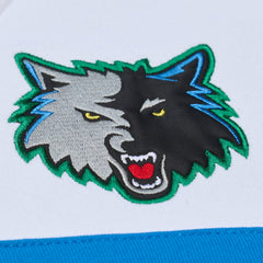 NBA Minnesota Timberwolves Head Coach Hoodie