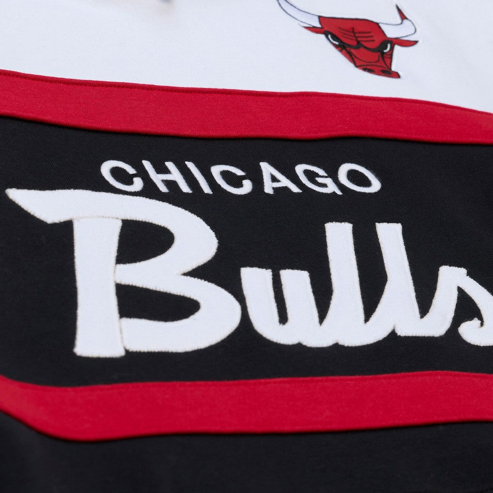 NBA Chicago Bulls Head Coach Hoodie