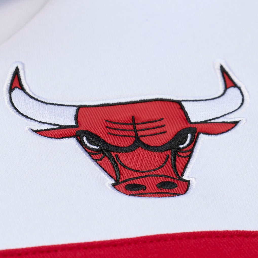 NBA Chicago Bulls Head Coach Hoodie