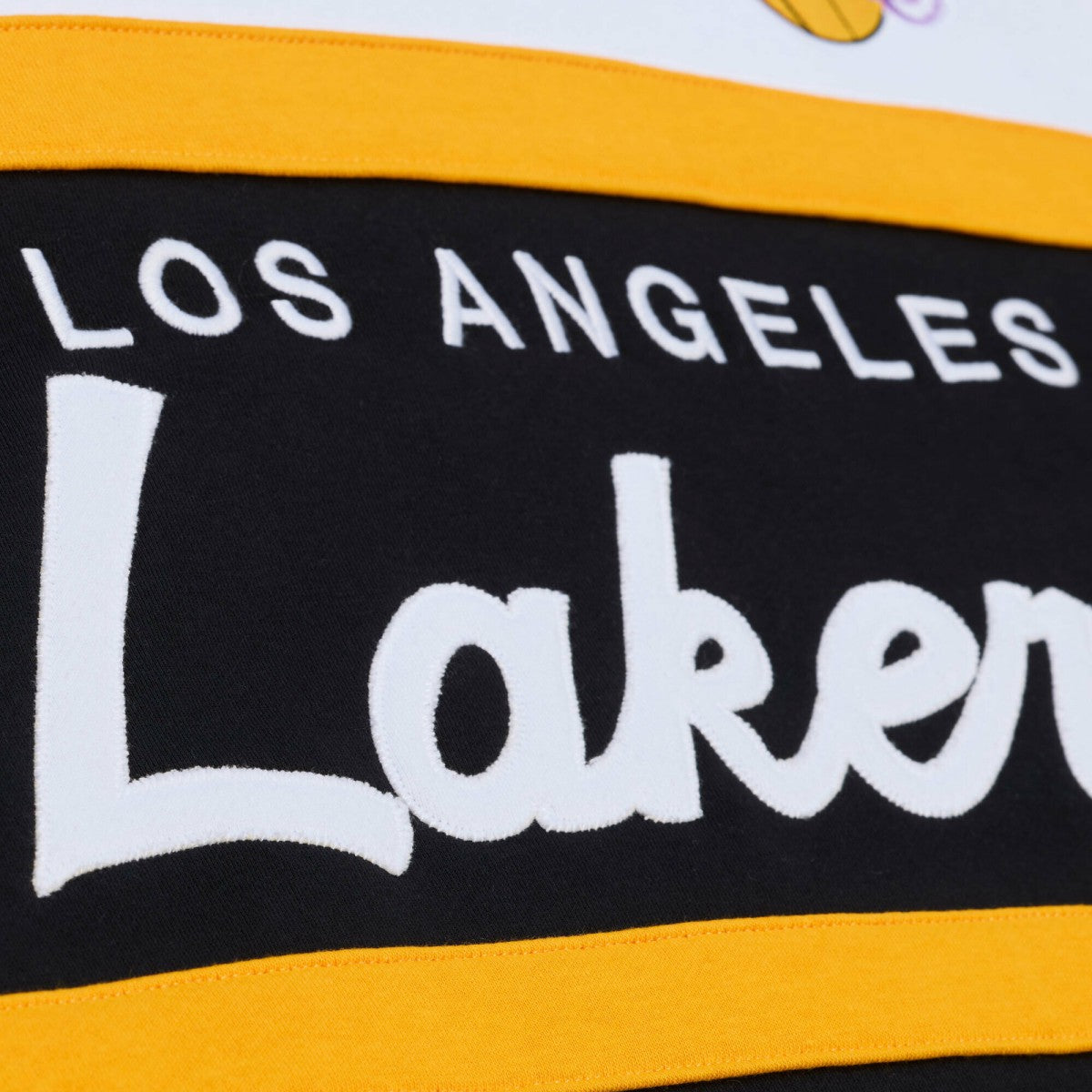 NBA Los Angeles Lakers Head Coach Hoodie