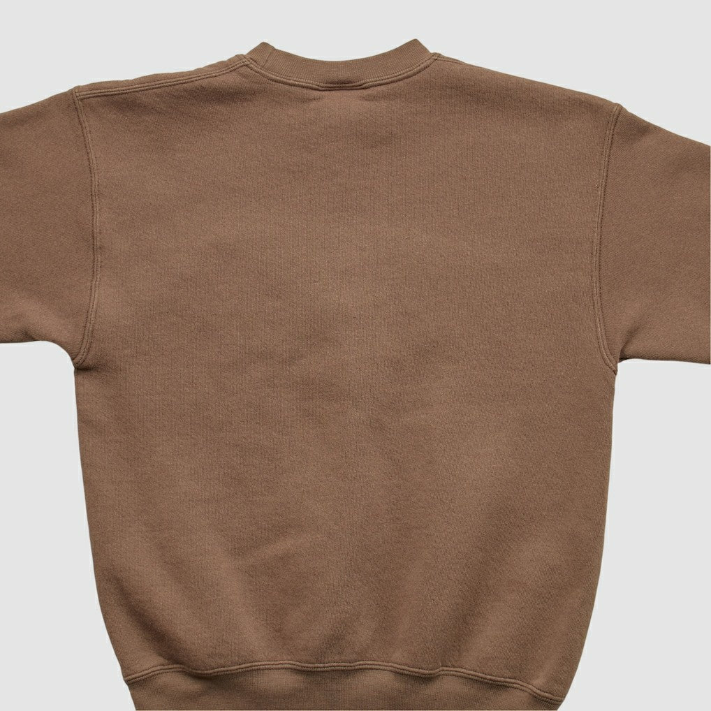 Pro Player 2000s Pullover Sweatshirt - Cleveland Browns
