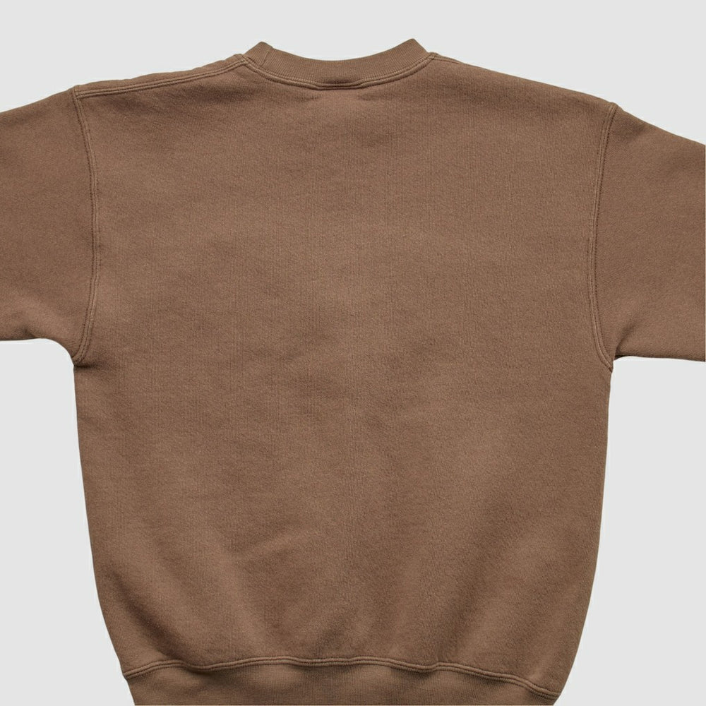 Pro Player 2000s Pullover Sweatshirt - Cleveland Browns