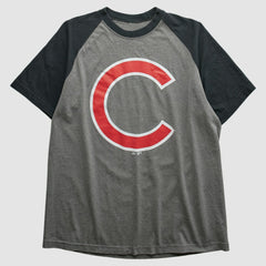 MLB Chicago Cubs 2010s T-shirt