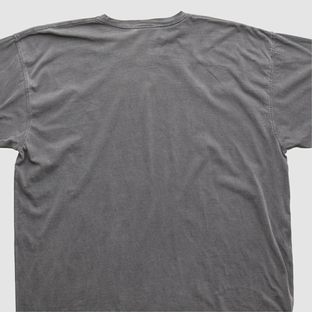 NFL 2010s T-shirt - Cleveland Browns