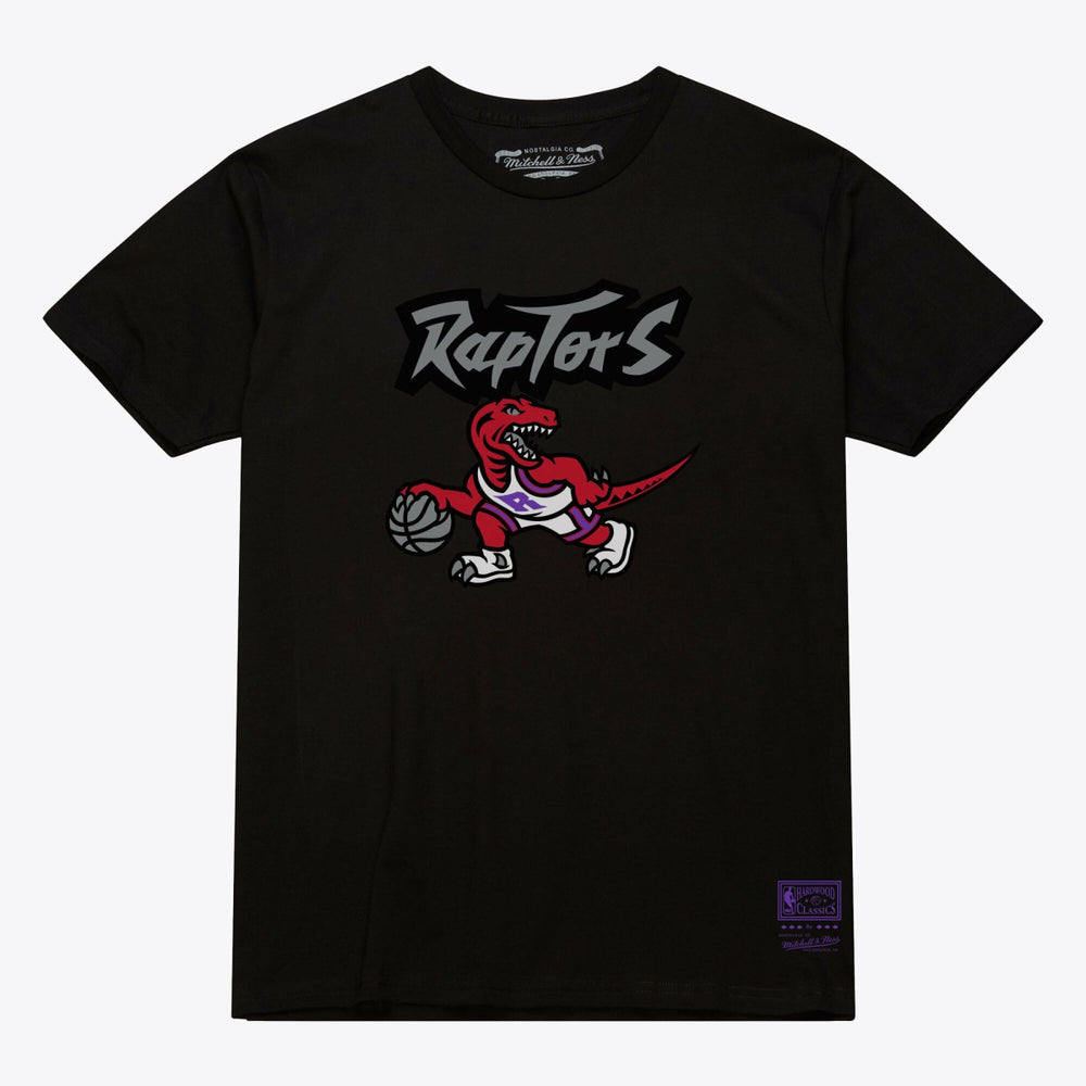 NBA Toronto Raptors Unisex Hardwood Classics Arch T-Shirt