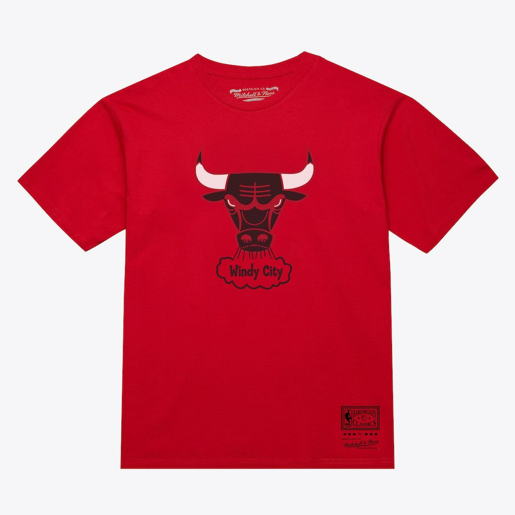 NBA Chicago Bulls Unisex Hardwood Classics Arch T-Shirt sale