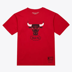 NBA Chicago Bulls Unisex Hardwood Classics Arch T-Shirt sale