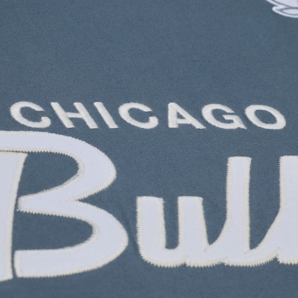 NBA Chicago Bulls Thunderstorm T-Shirt sale