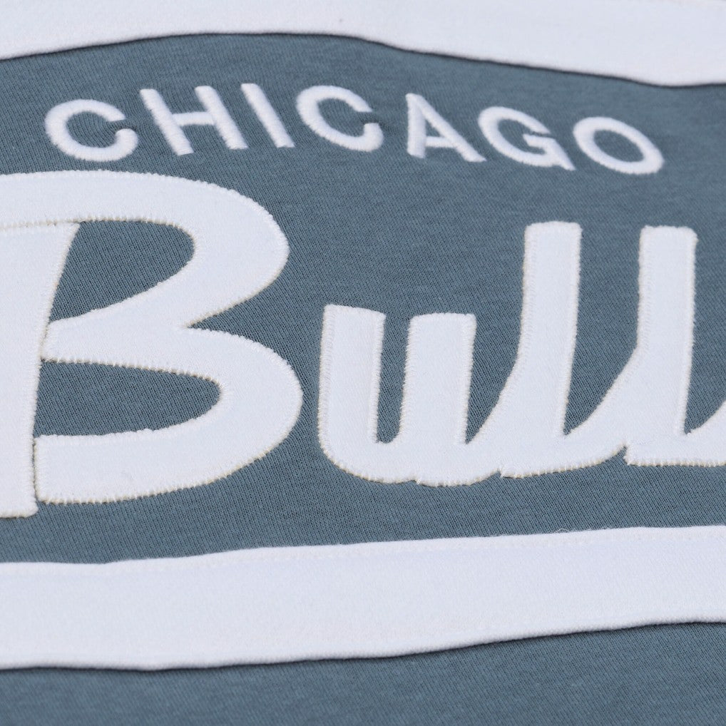 NBA Chicago Bulls Thunderstorm Head Coach Quarter-Zip Jacket