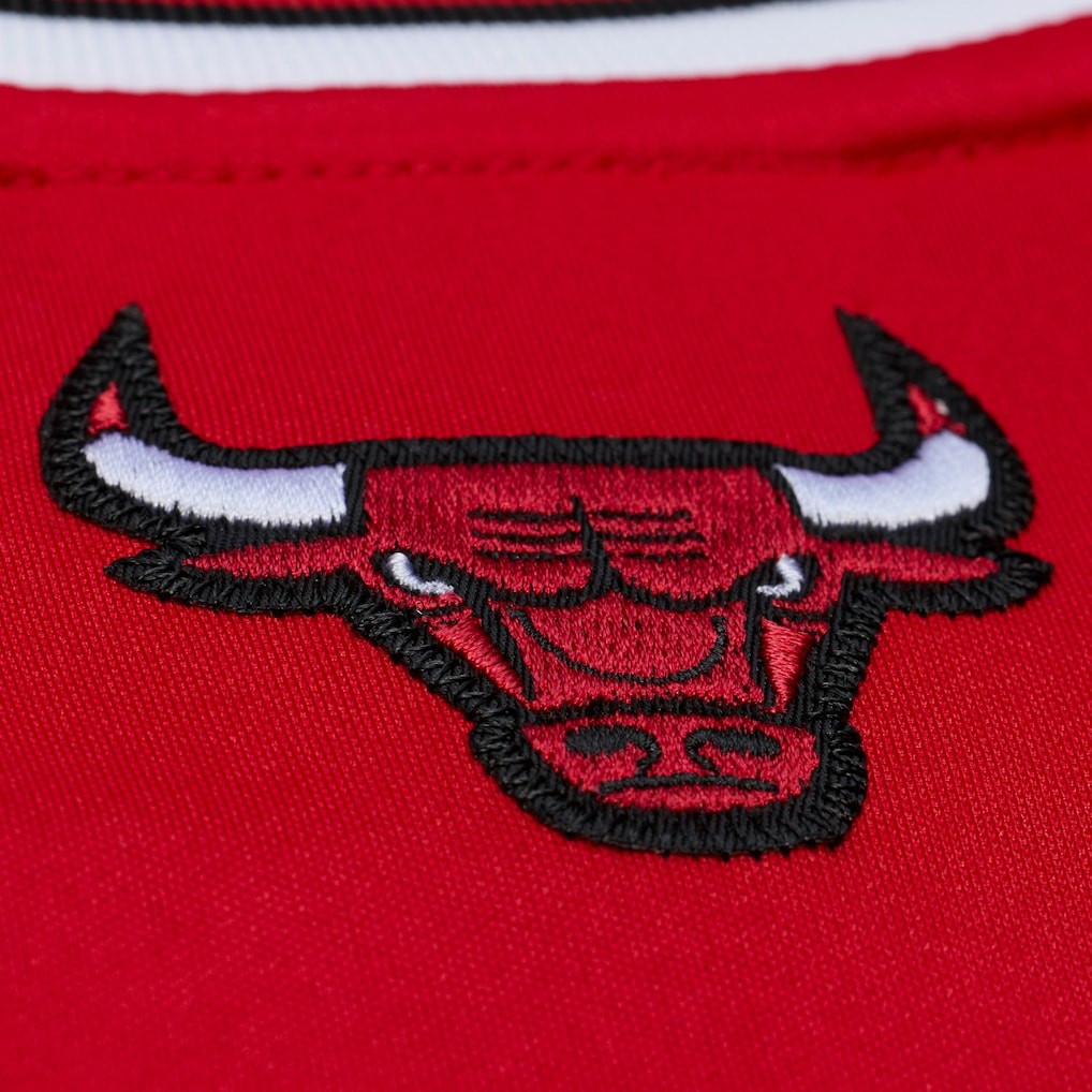 NBA Derrick Rose Chicago Bulls 2008-09 Authentic Jersey sale