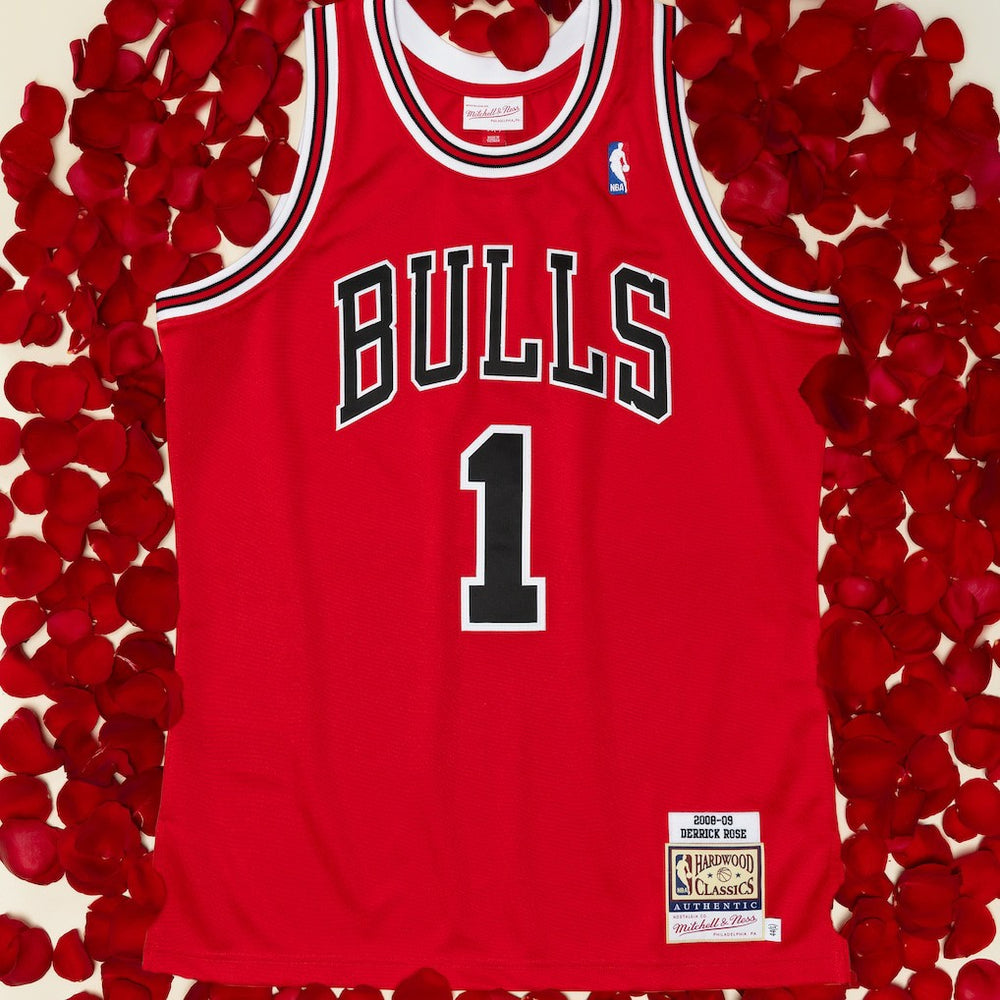 NBA Derrick Rose Chicago Bulls 2008-09 Authentic Jersey sale