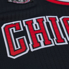 NBA Derrick Rose Chicago Bulls 2010-11 Authentic Jersey sale