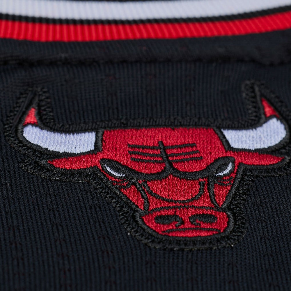 NBA Derrick Rose Chicago Bulls 2010-11 Authentic Jersey sale