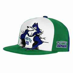NBA Minnesota Timberwolves Youth Mascot Snapback Hat