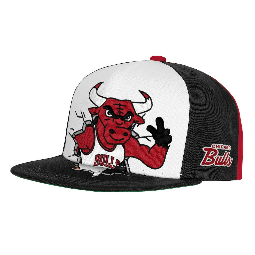 NBA Chicago Bulls Youth Mascot Snapback Hat