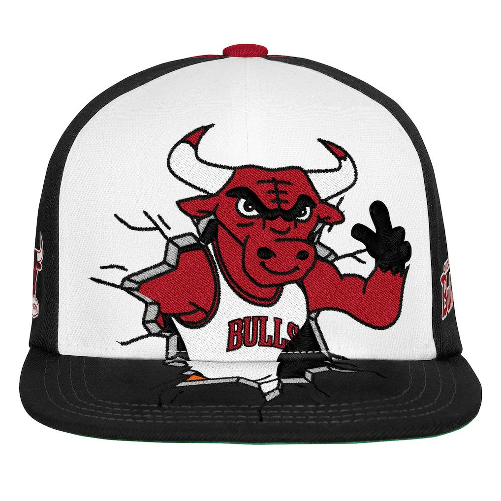 NBA Chicago Bulls Youth Mascot Snapback Hat