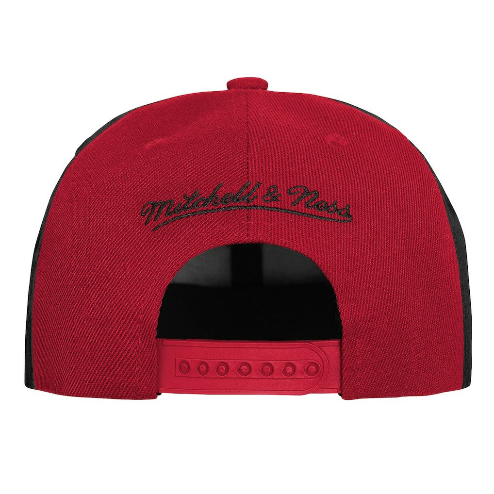 NBA Chicago Bulls Youth Mascot Snapback Hat