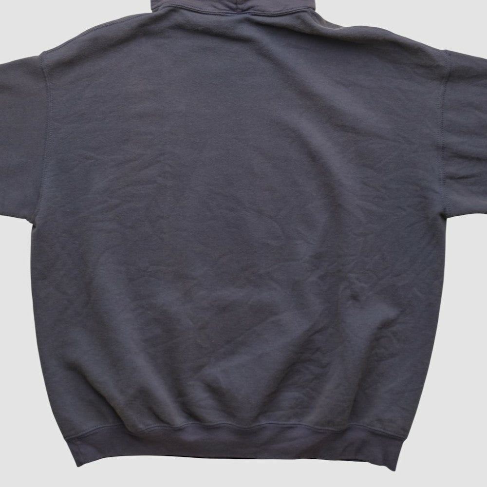 MLB Minnesota Twins MLB 2000s Hooded Pullover Sweatshirt