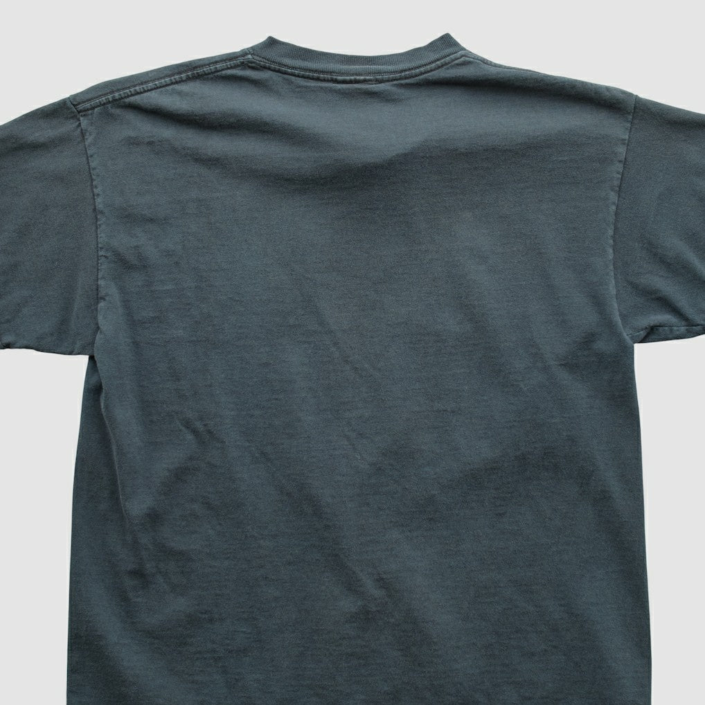 NFL 2000s T-shirt - Carolina Panthers