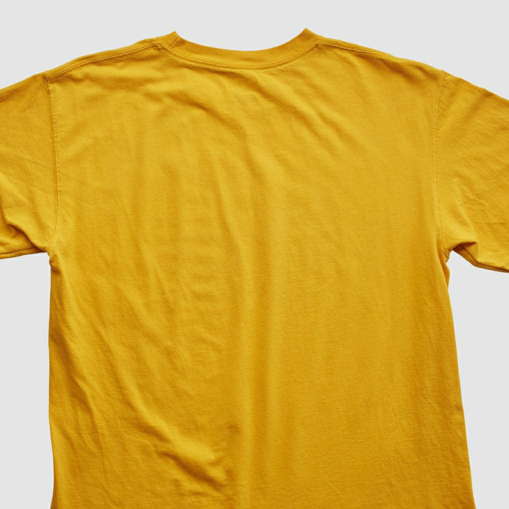 NFL 2010s T-shirt - Pittsburgh Steelers