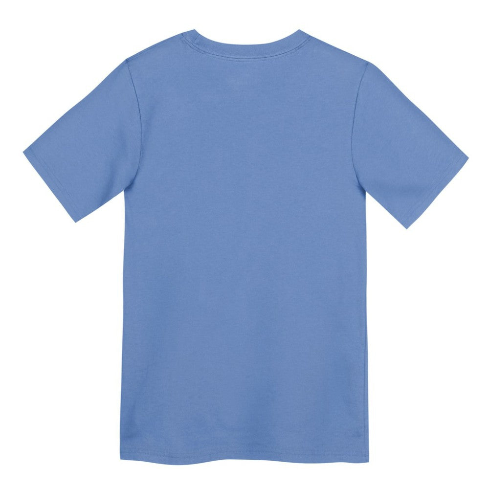 MLB Chicago Cubs Nike Preschool Electric Bear Alternate T-Shirt