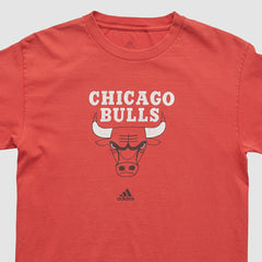 NBA Chicago Bulls 2000s T-shirt sale