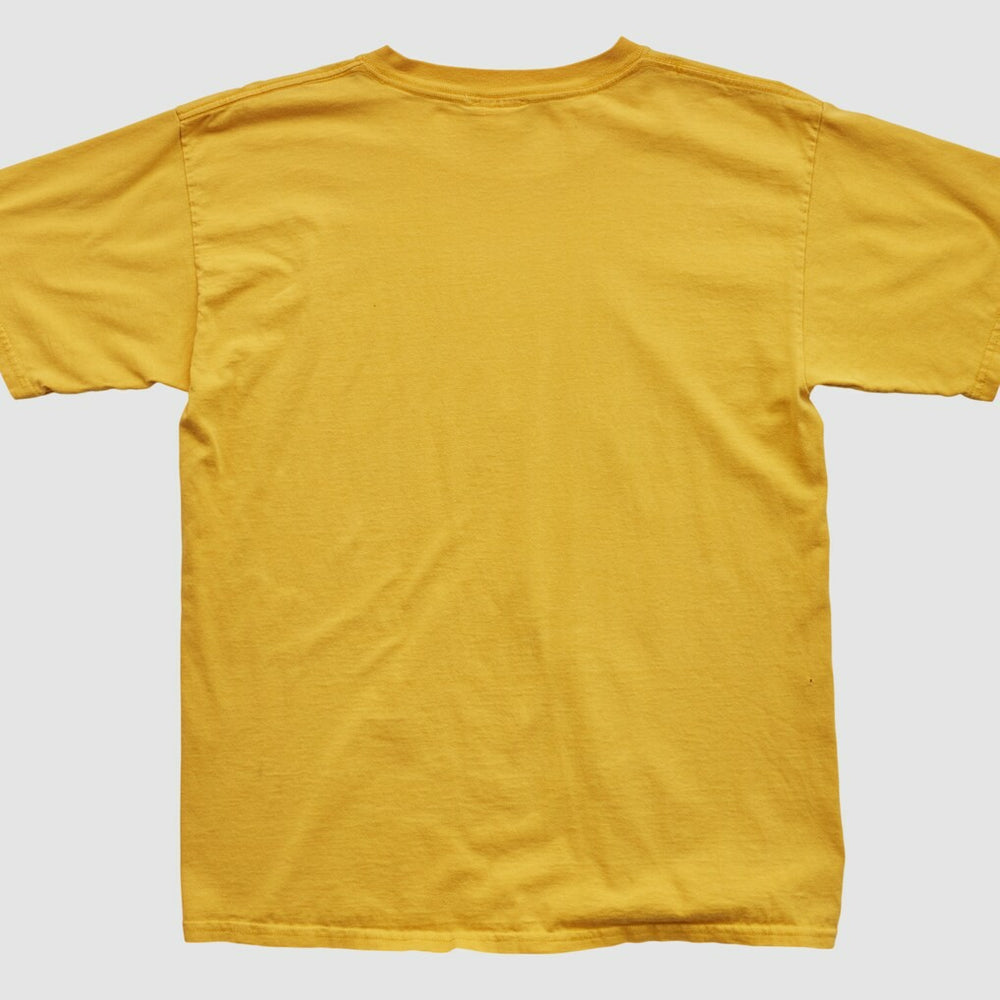 NBA Indiana Pacers NBA 2000s T-shirt